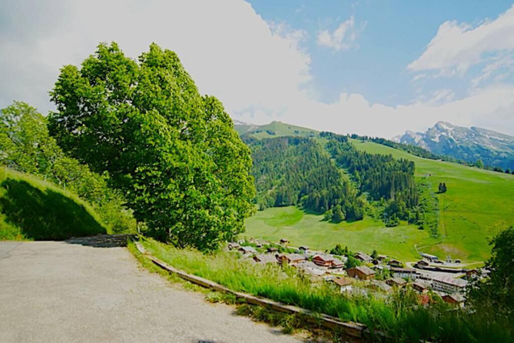 Appartement Cozy Dans Chalet 6 Pers Voiture 4 Roues Motrice A Dispo La Clusaz Dış mekan fotoğraf